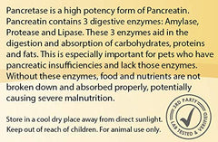CK Formulations Pancretase on a pet feeding scene showing enzyme support at mealtime.