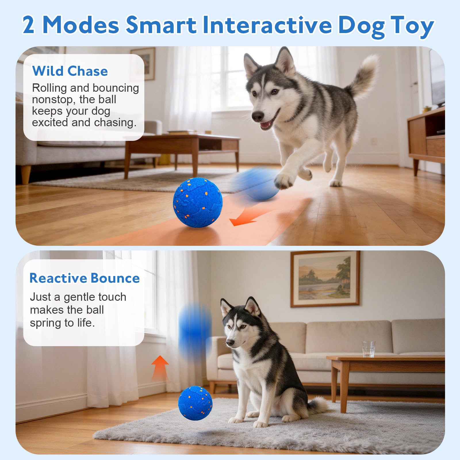 Ckin pet Smart Ball bouncing motion illustrates high-energy play that excites dogs.