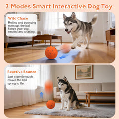 Ckin pet smart ball durable E-TPU material withstands tough chewers