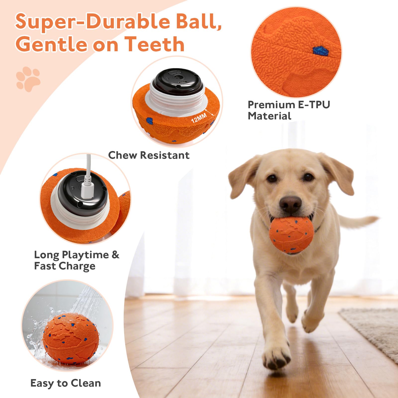Ckin pet smart ball in action crazy mode highlights high-frequency bouncing