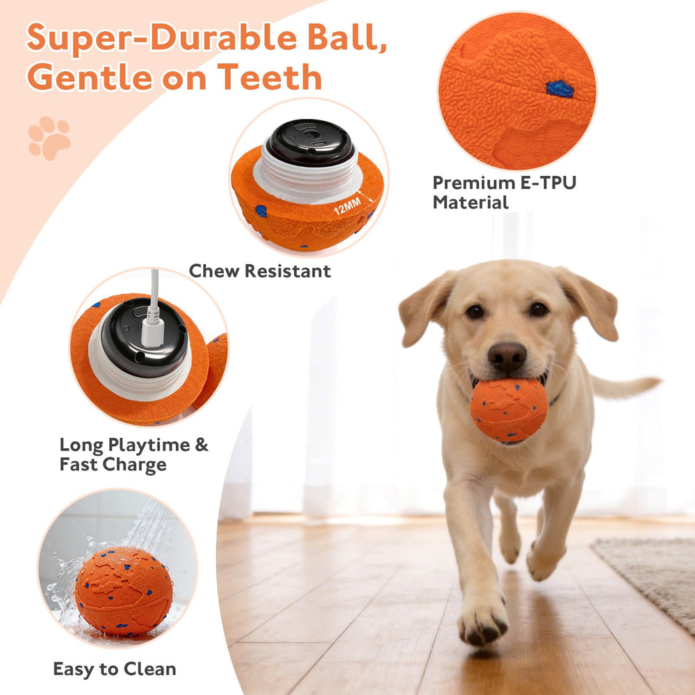 Ckin pet smart ball in action crazy mode highlights high-frequency bouncing