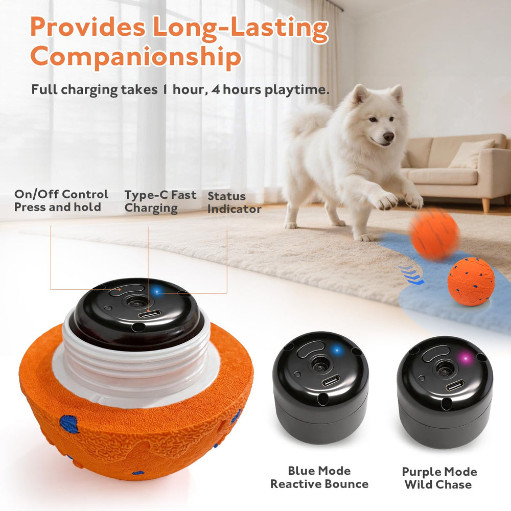 Ckin pet smart ball size-appropriate design for dogs of various sizes