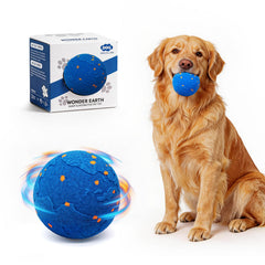 Ckin pet Smart Ball top view demonstrates a compact design for versatile indoor or outdoor play.
