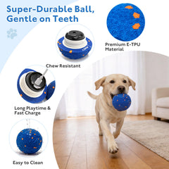 Ckin pet Smart Ball waterproof design is ideal for pool or beach adventures.