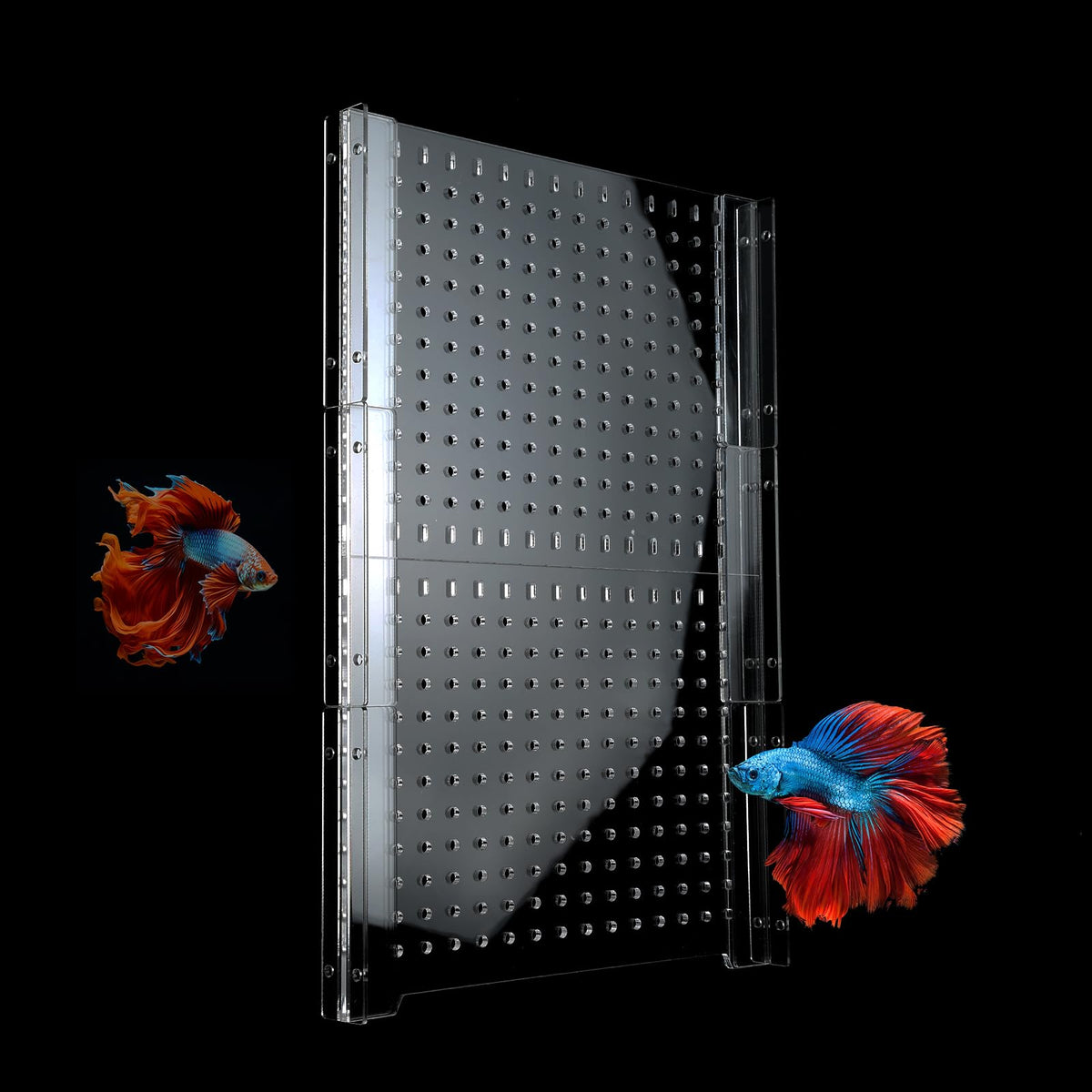 CLarellara acrylic fish tank divider assembly supports 75/125 gallon tanks for easy setup