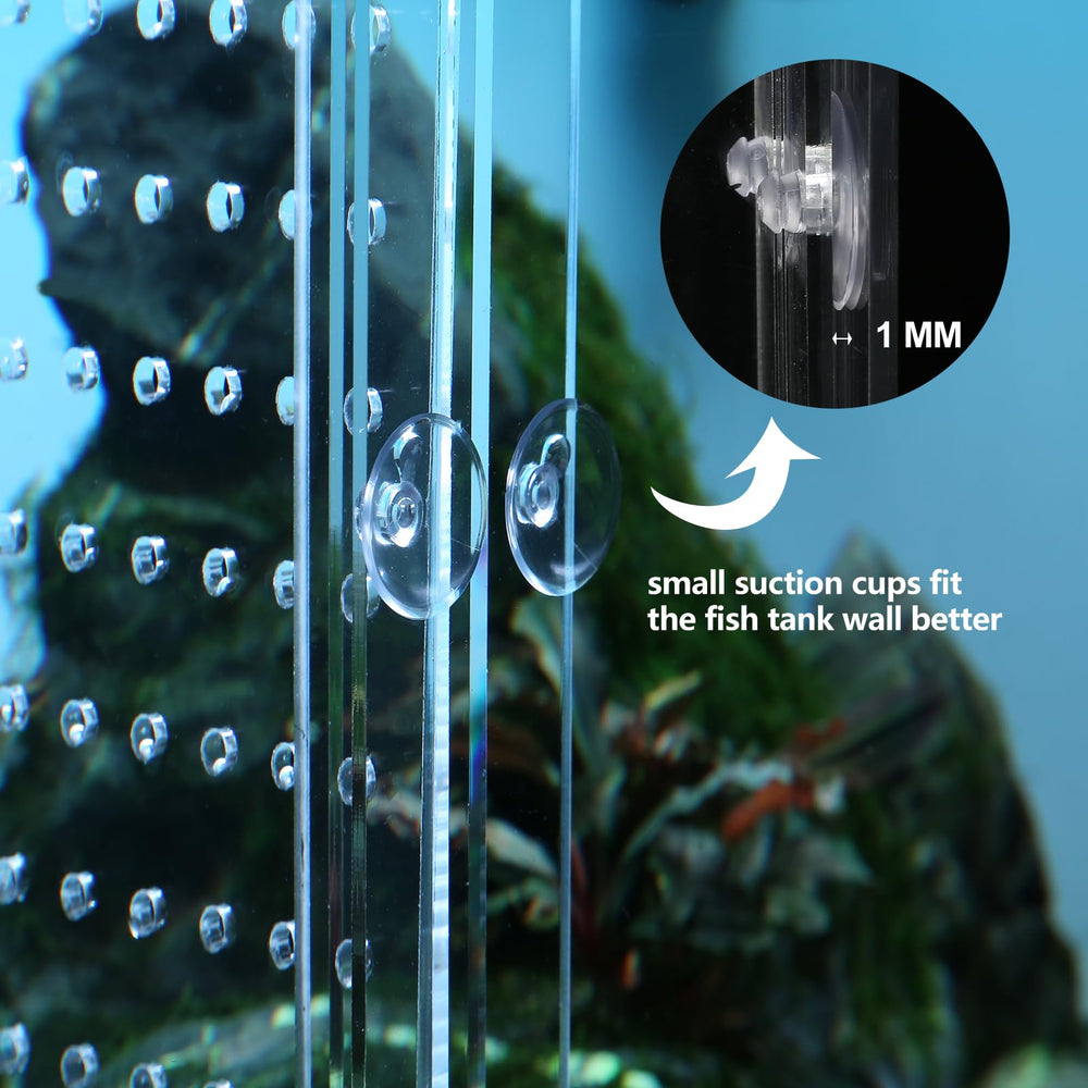 Clear acrylic partition promotes water flow and safe separation in the tank