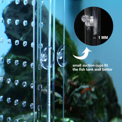 Clear acrylic partition promotes water flow and safe separation in the tank
