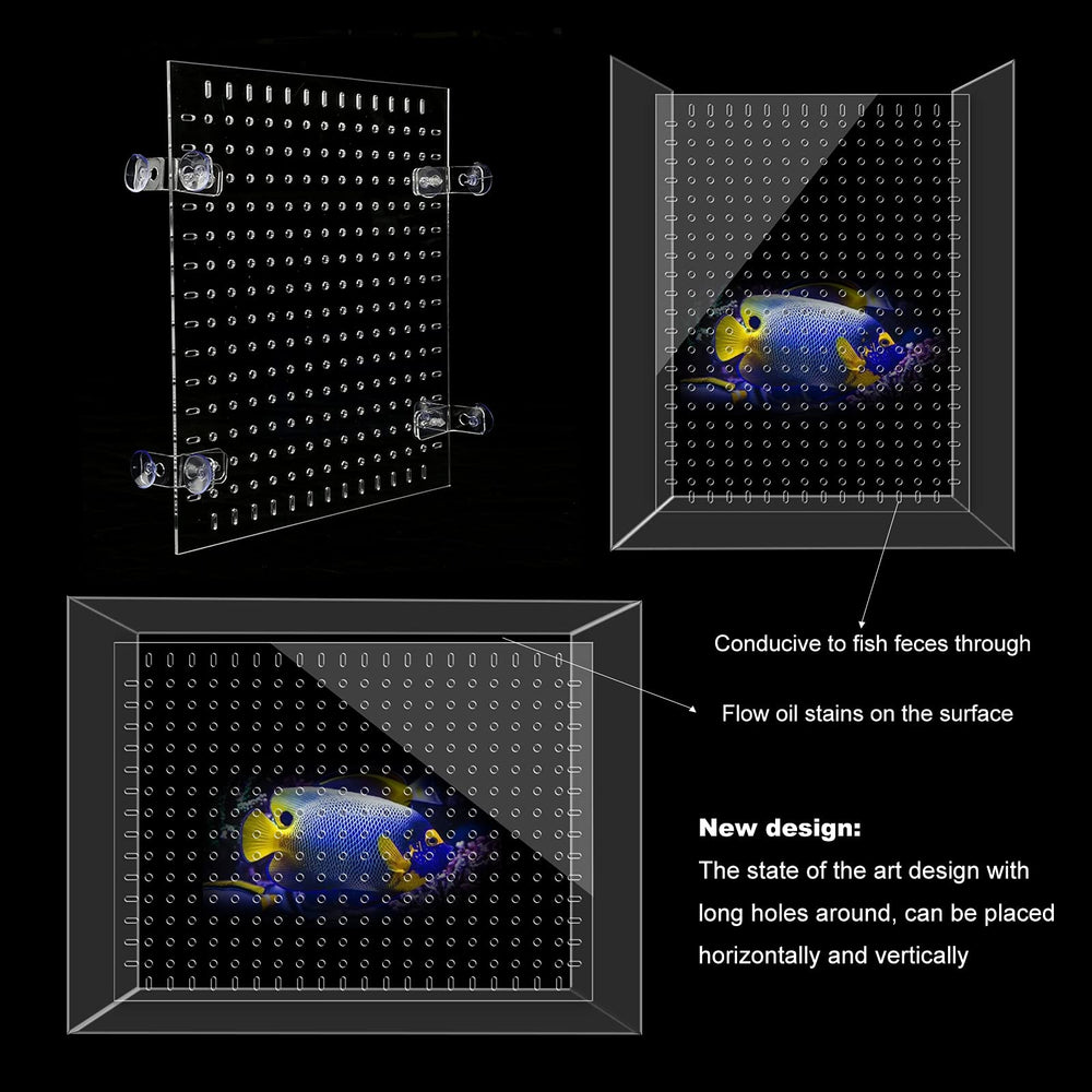 CLarellara packaging protects during transit with two-part design.
