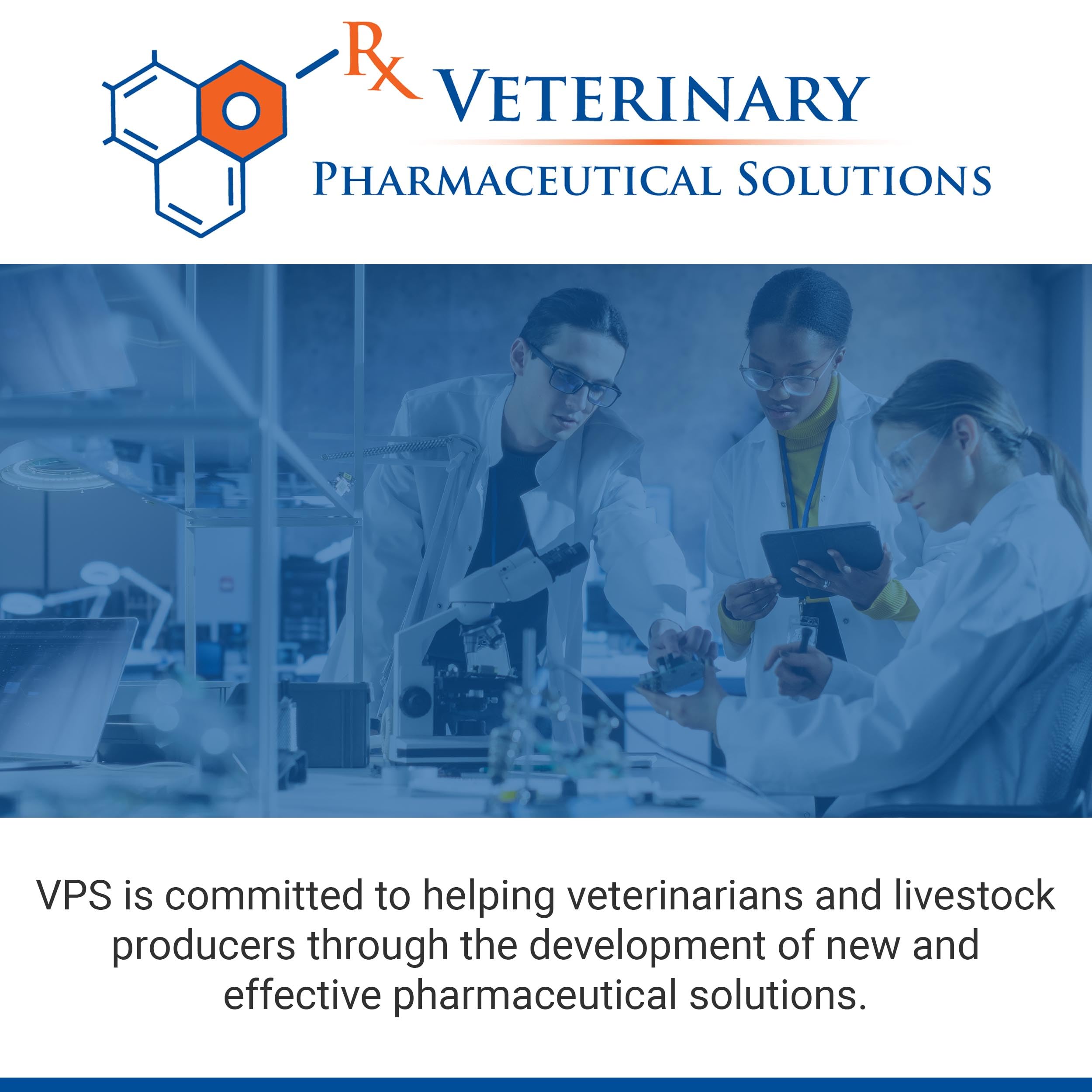 CLASSIC VPS SynovialMax packaging and bottle setup for home use