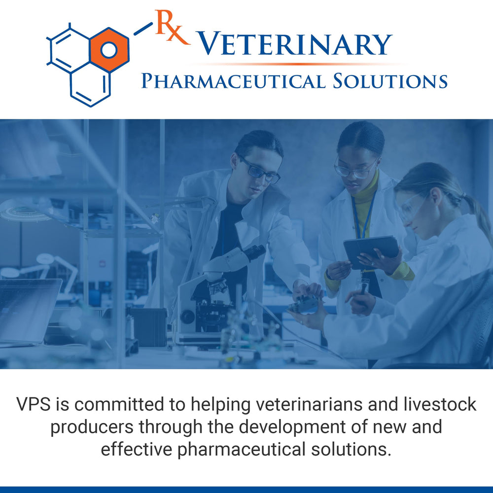 CLASSIC VPS SynovialMax packaging and bottle setup for home use