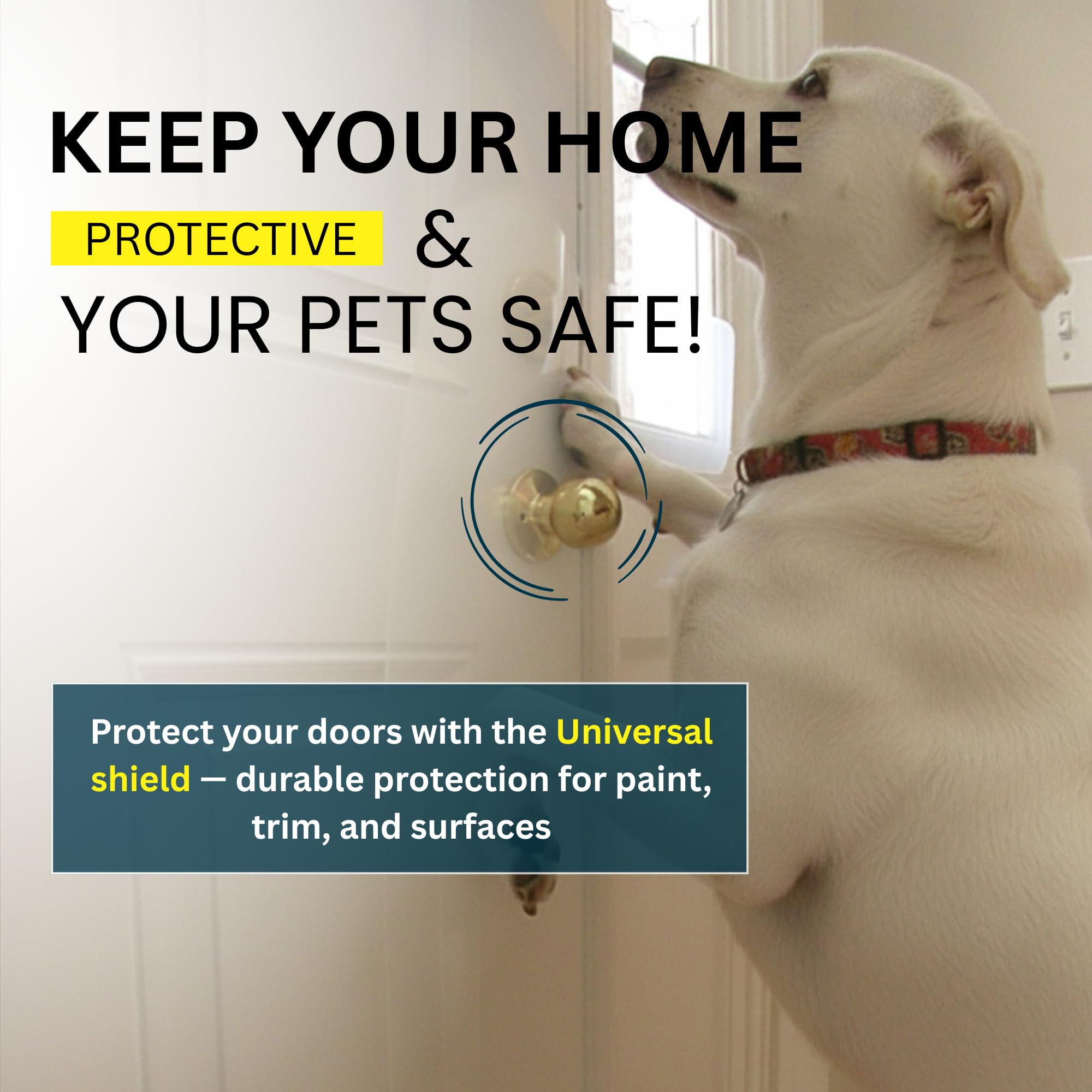 CLAWGUARD Plexiglass Shield cat claw protection reduces damage while staying transparent.