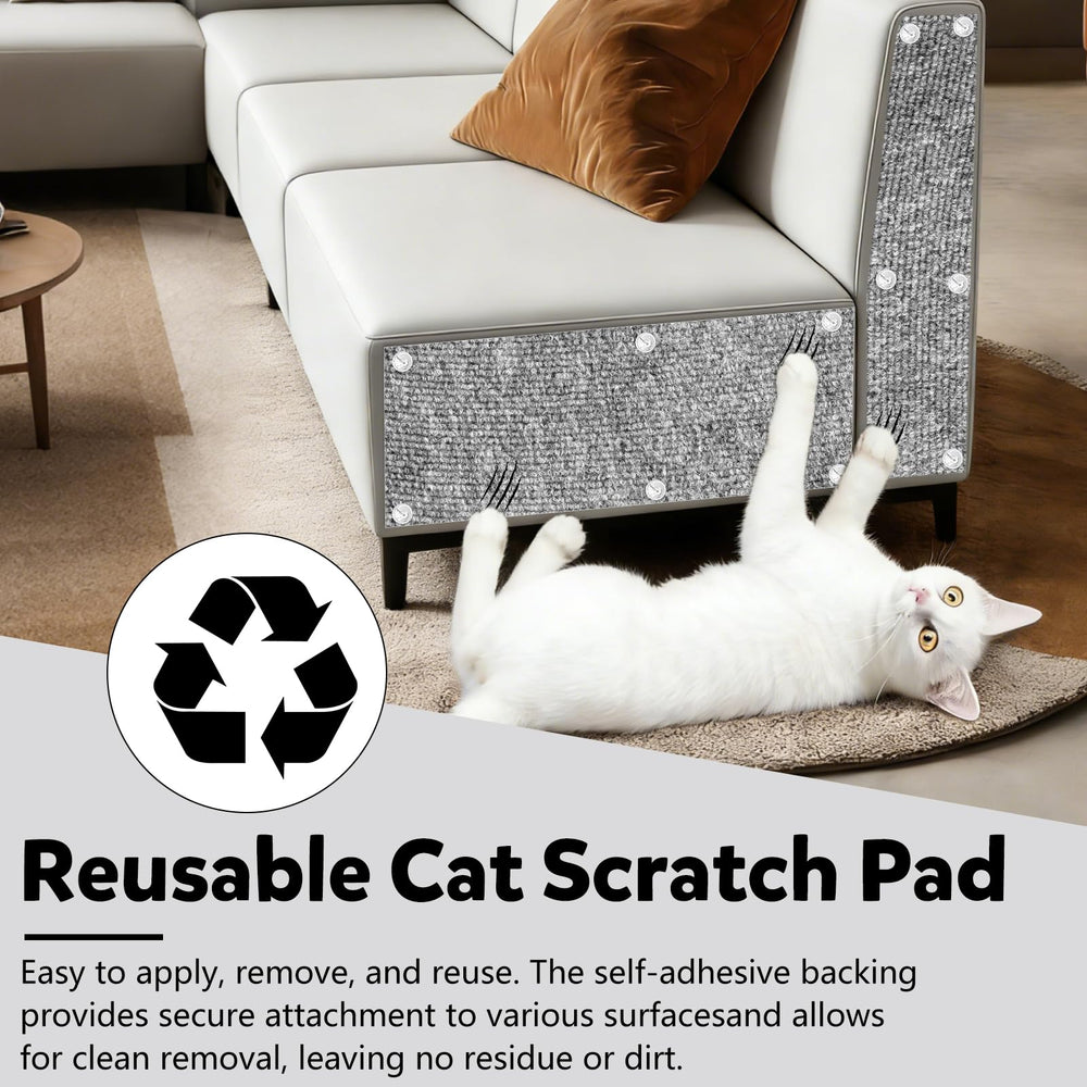 Clawvana 2-in-1 guard serves as protector and activity center.