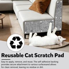 Clawvana 2-in-1 guard serves as protector and activity center.