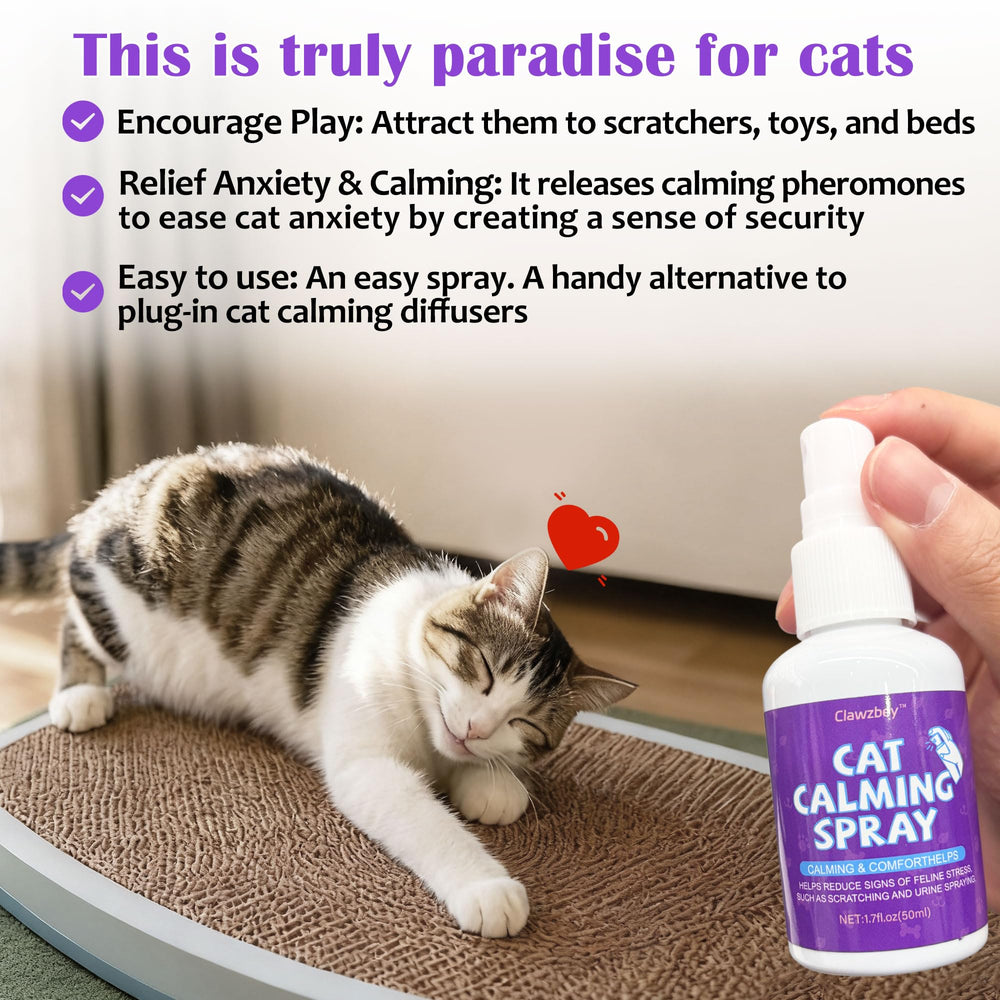 Clawzbey Deterrent Spray reinforces boundaries and discourages access to restricted zones.
