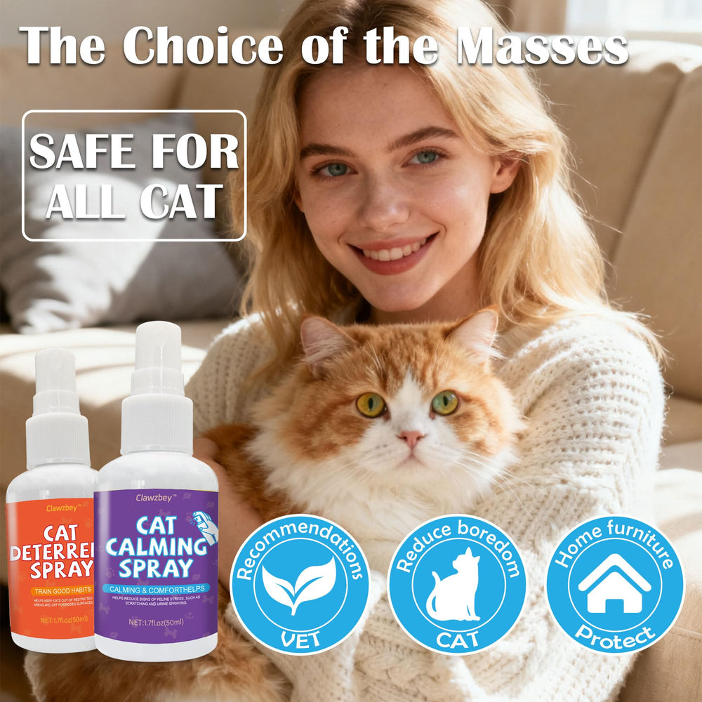 Clawzbey Spray Application on Furniture provides quick daily protection.