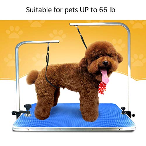 CLCK dog grooming loop adjustable size fits small to large dogs for versatile grooming.