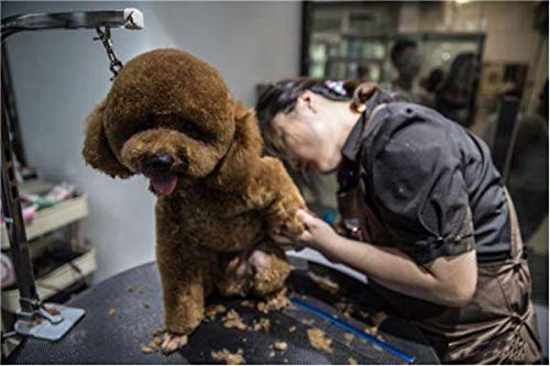 CLCK dog grooming loop is waterproof nylon and durable for long-lasting use.