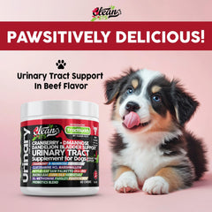 Clean Pets Dandelion root dog bladder health bottle aids fluid balance