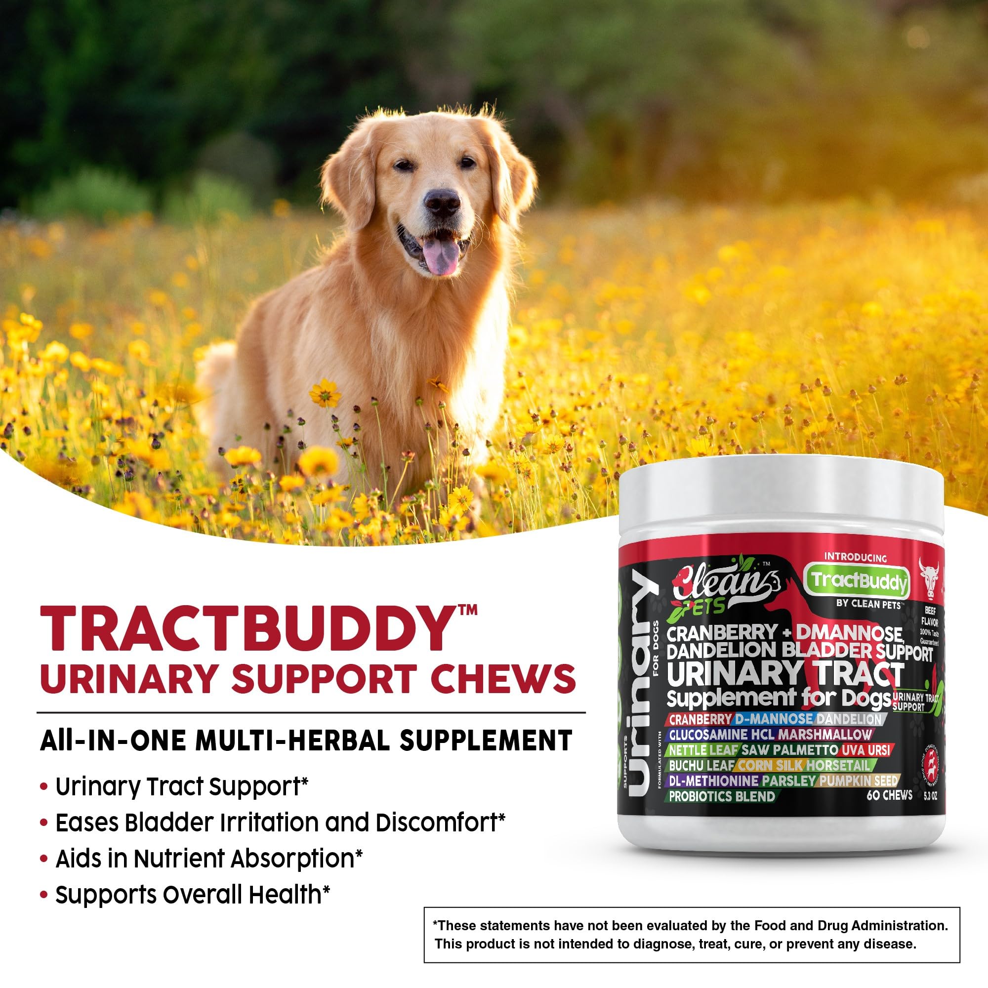 Clean Pets Marshmallow root dog digestive health chews highlight soothing gut support for dogs