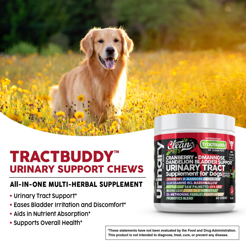 Clean Pets Marshmallow root dog digestive health chews highlight soothing gut support for dogs