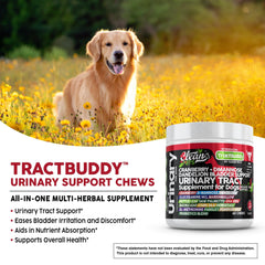 Clean Pets Marshmallow root dog digestive health chews highlight soothing gut support for dogs