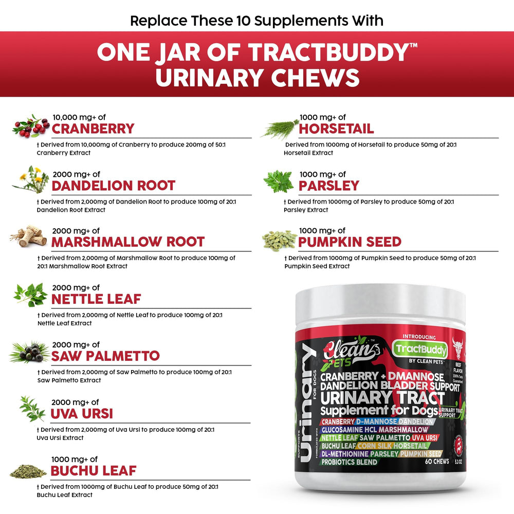 Clean Pets UVA URSI capsules dog urinary wellness image emphasizes bladder health