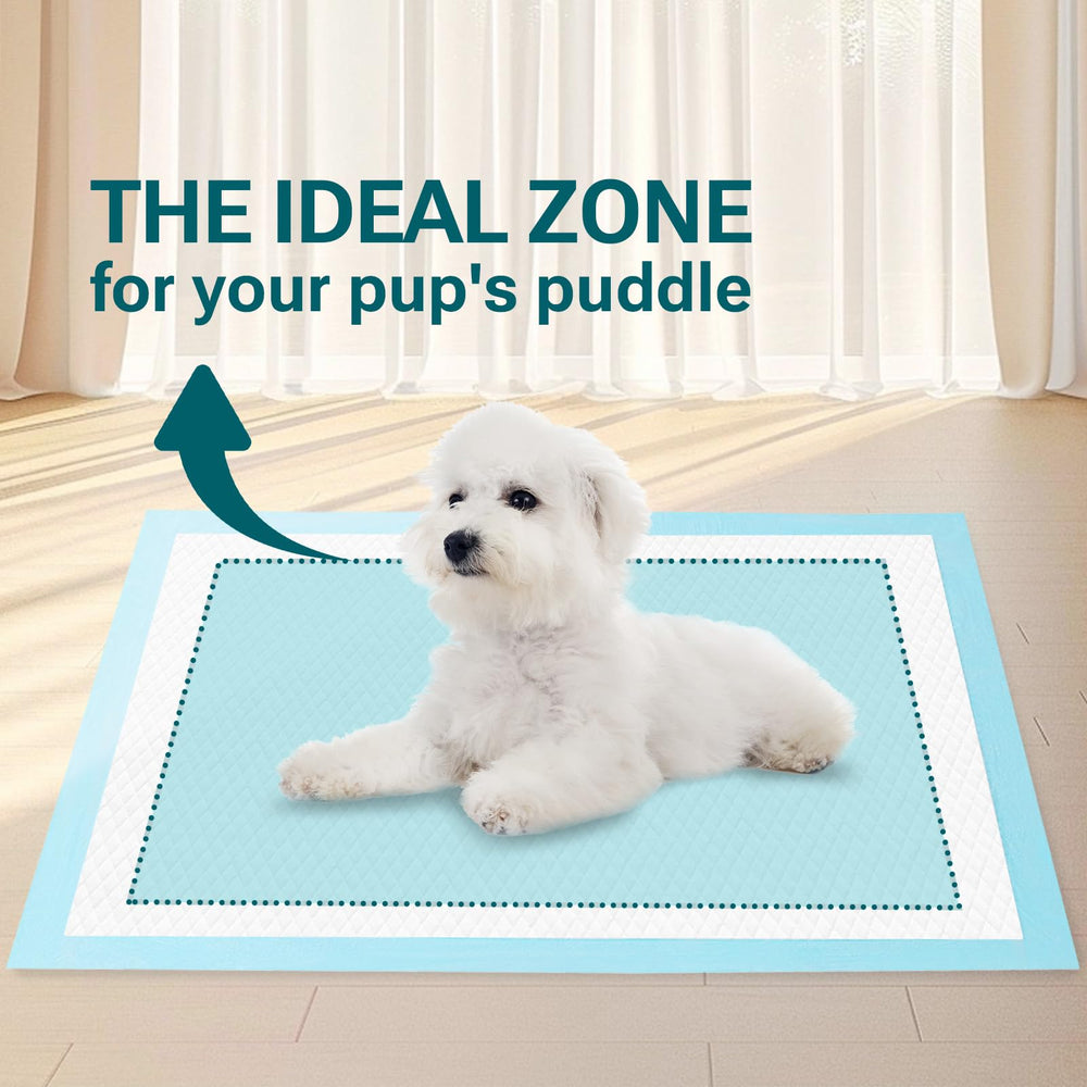 Clean Spaces bed protection pad keeps furniture clean during rest.