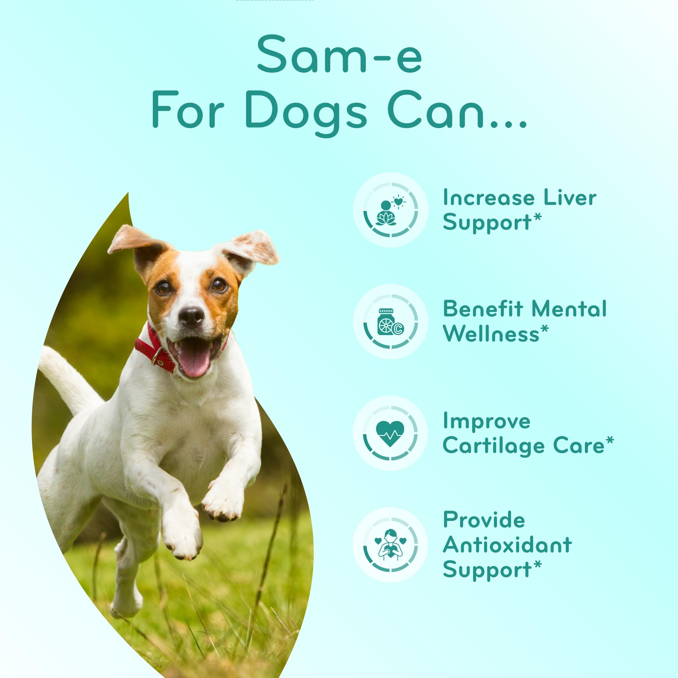 Clear Formulas allergen-free formula with dairy, gluten, soy exclusions for sensitive dogs.