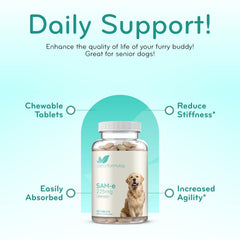 Clear Formulas dog brain-support chew to aid focus during daily activities.