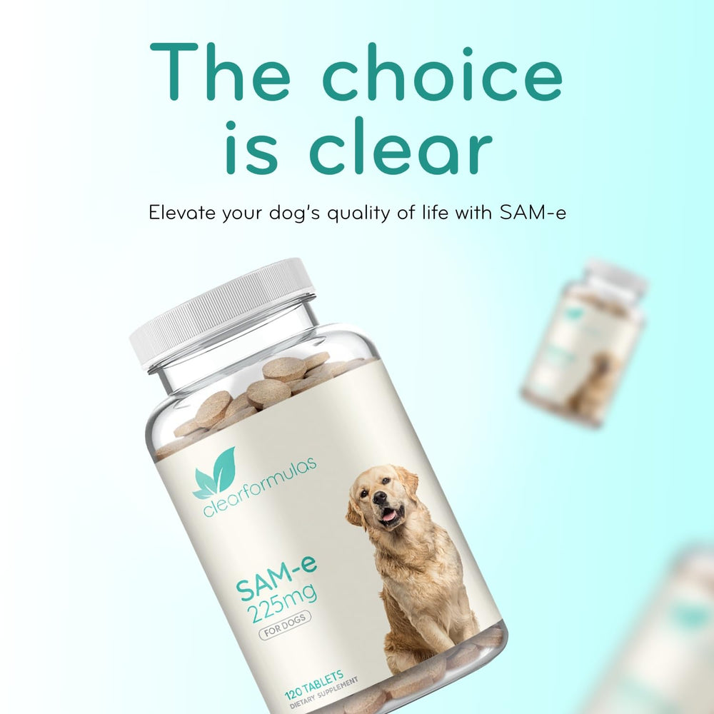 Clear Formulas US cGMP facility seal indicating high-quality production standards.