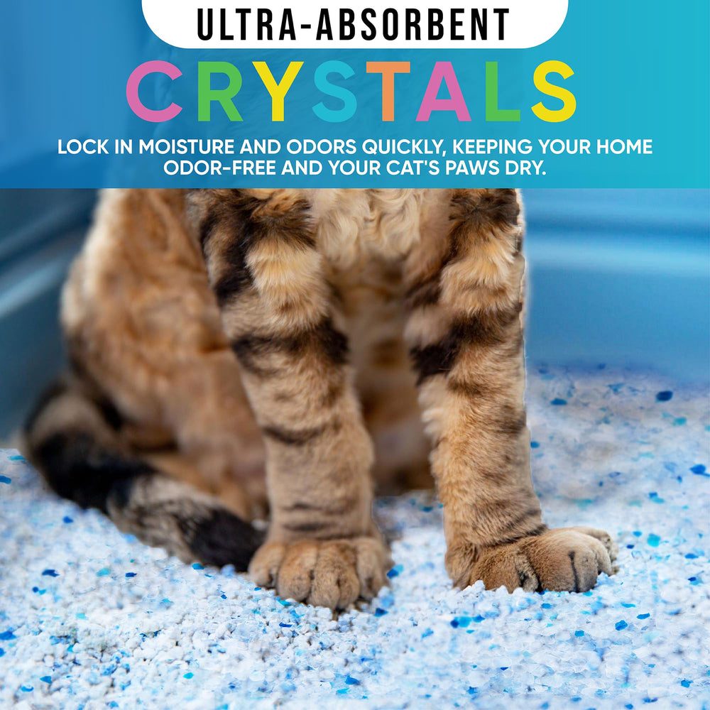 Clear Litter lightweight crystals are easy to handle and refill.