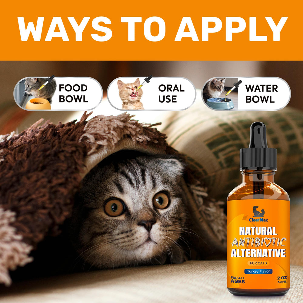 Clear Max cat cough support drops help smooth daily routines and comfort.