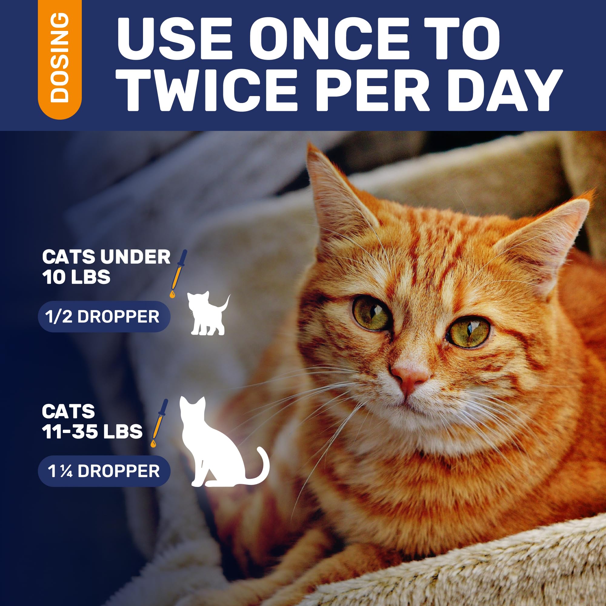 Clear Max antibiotics for cats may support UTI comfort and hydration during use.