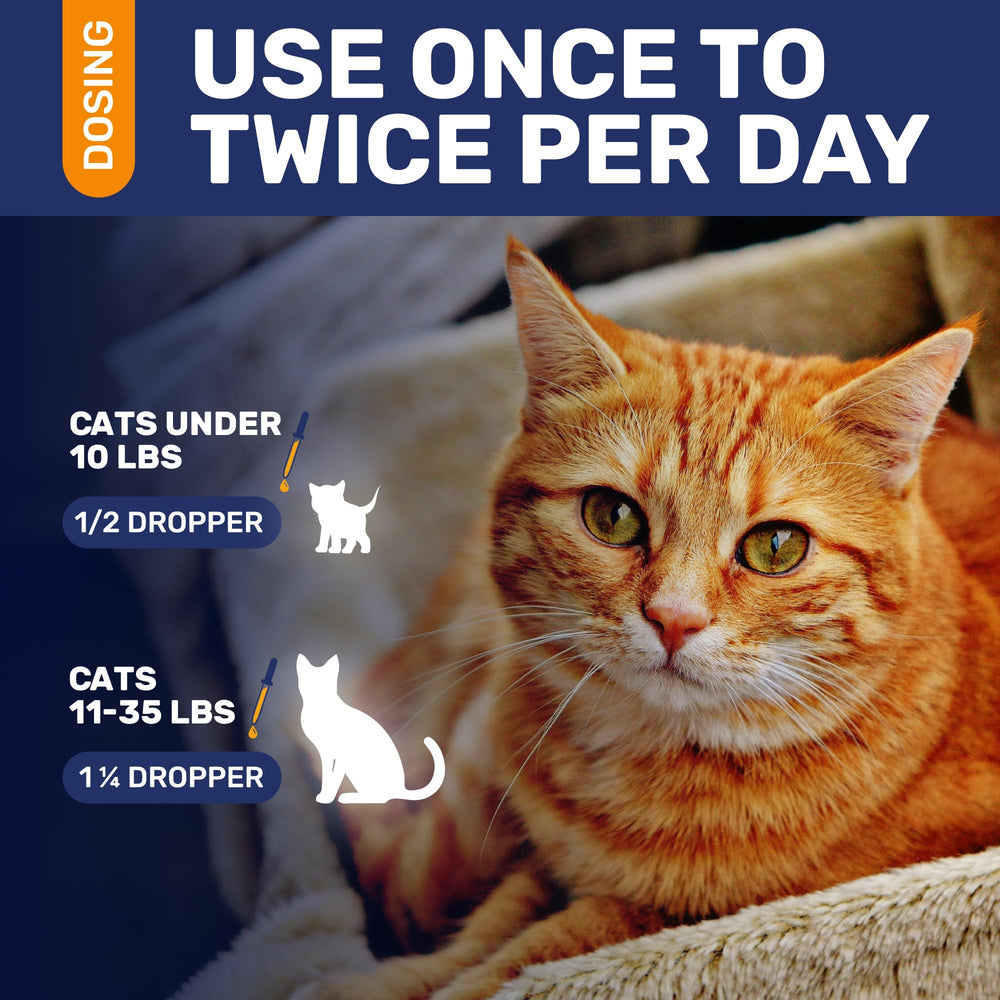 Clear Max antibiotics for cats may support UTI comfort and hydration during use.