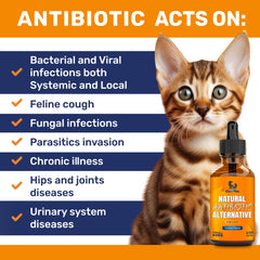 Clear Max antibiotics turkey flavor serving for cats fosters palatable administration and adherence.