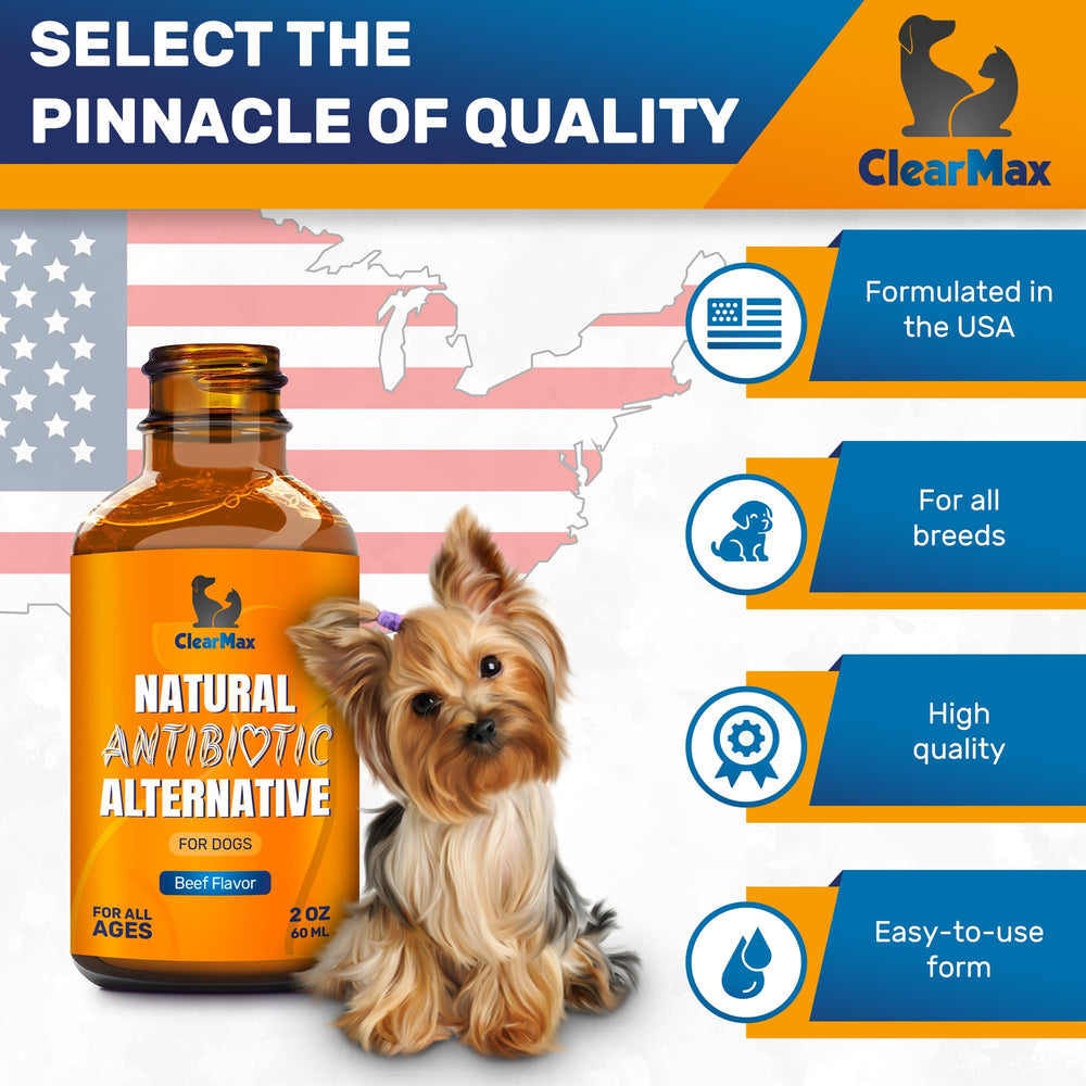 Clear Max antibiotic supports urinary comfort for dogs