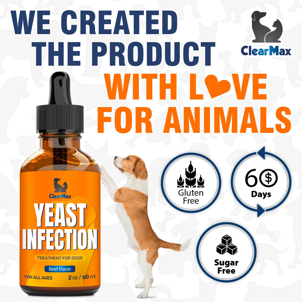 Clear Max dog gut support suggests balanced digestion.