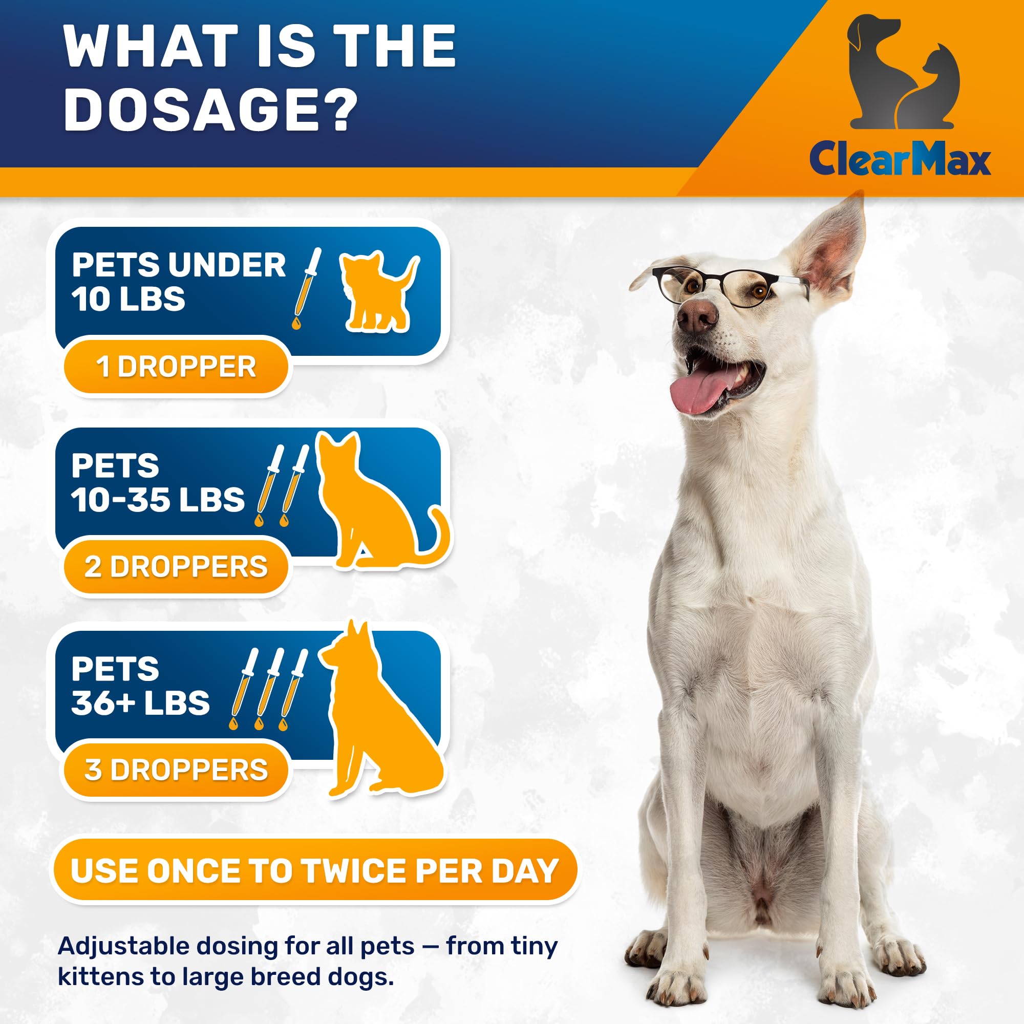 Dog paw beside bottle to emphasize easy daily digestive support.