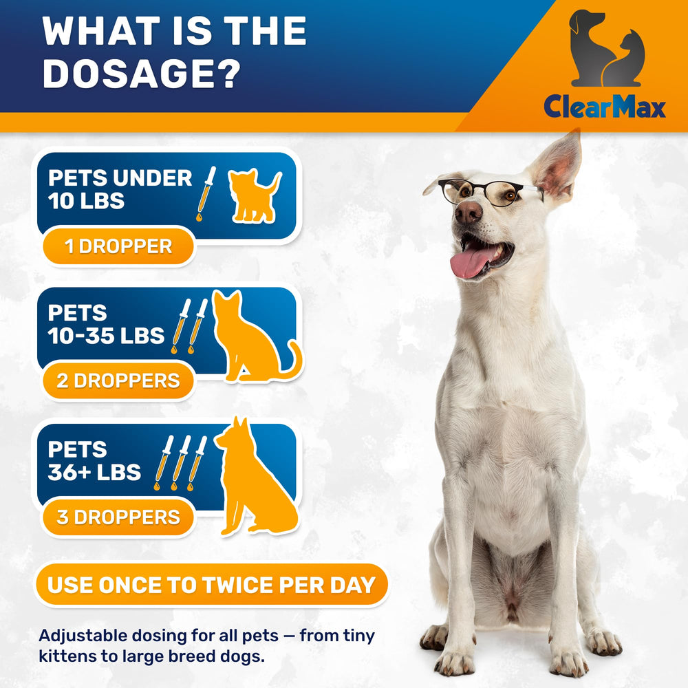 Dog paw beside bottle to emphasize easy daily digestive support.