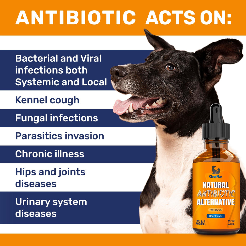 Clear Max dog antibiotics beef flavor splash for pleasant administration