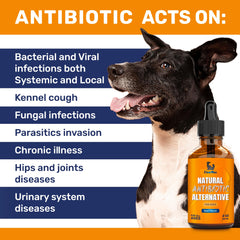 Clear Max dog antibiotics beef flavor splash for pleasant administration