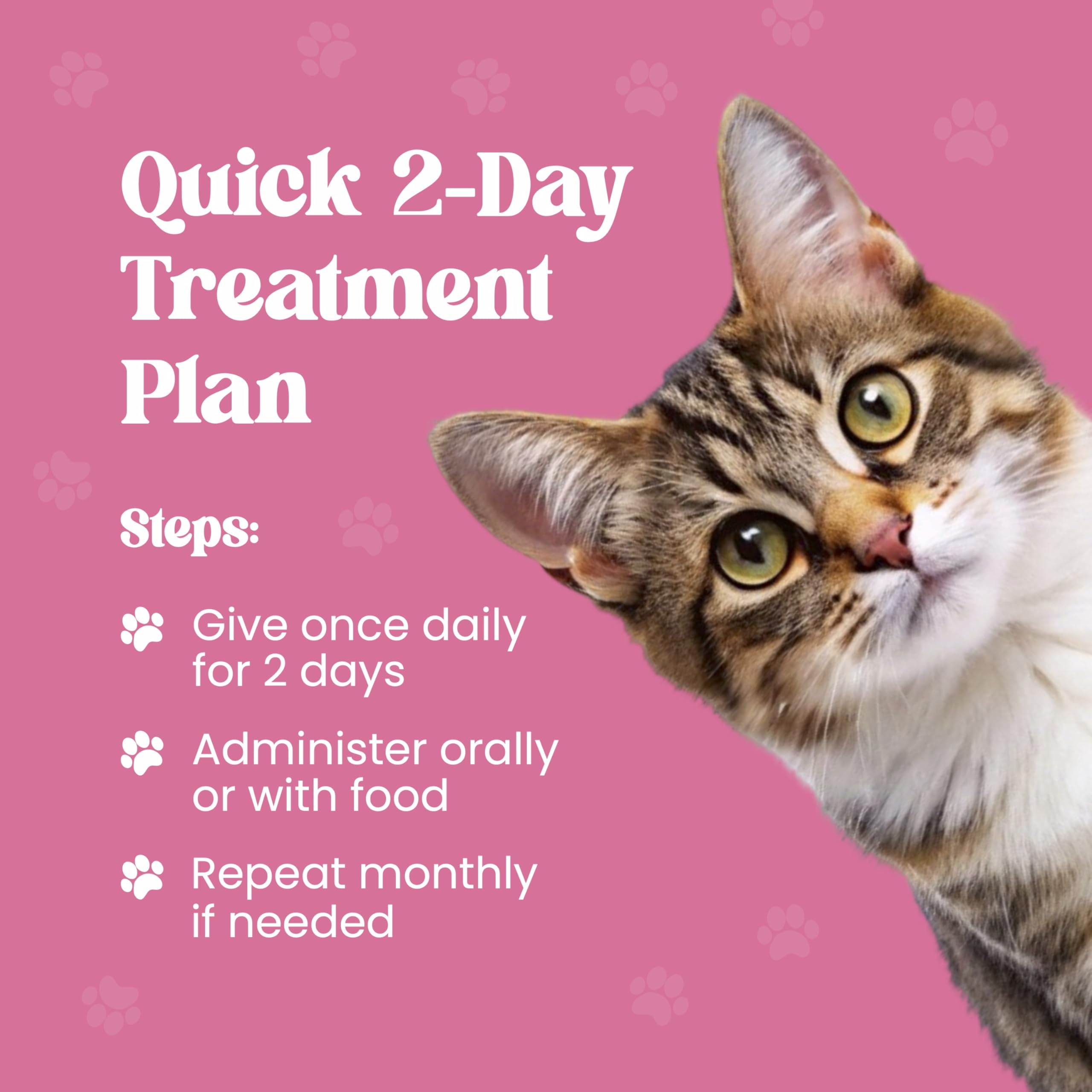 CLENVIA Dewormer supports routine cat care with clear directions