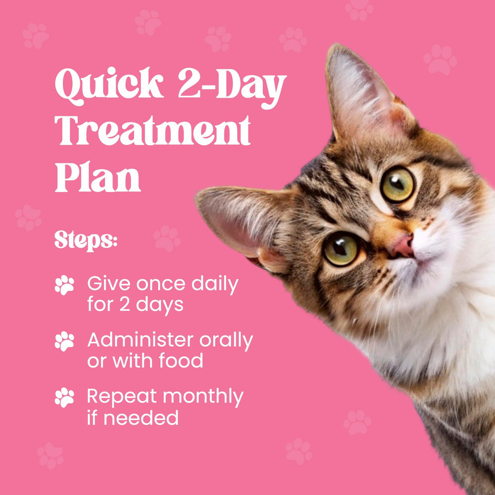 CLENVIA Dewormer supports routine cat care with clear directions