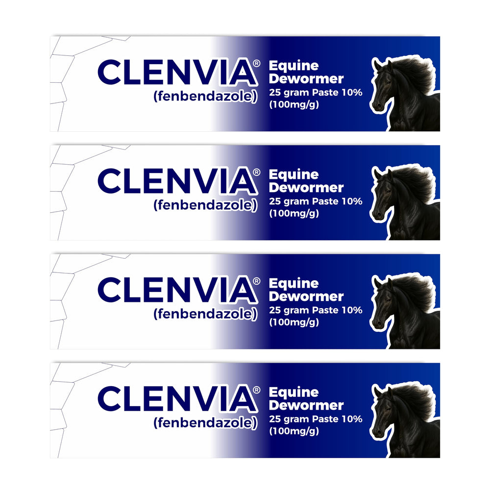 CLENVIA Horse Paste 10% packaging shown for easy, stress-free dosing in the barn