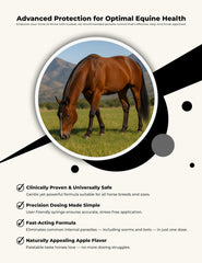Calibrated CLENVIA syringe with precise dosing for horse use.