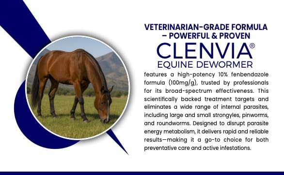 Horse calmly accepting paste during administration