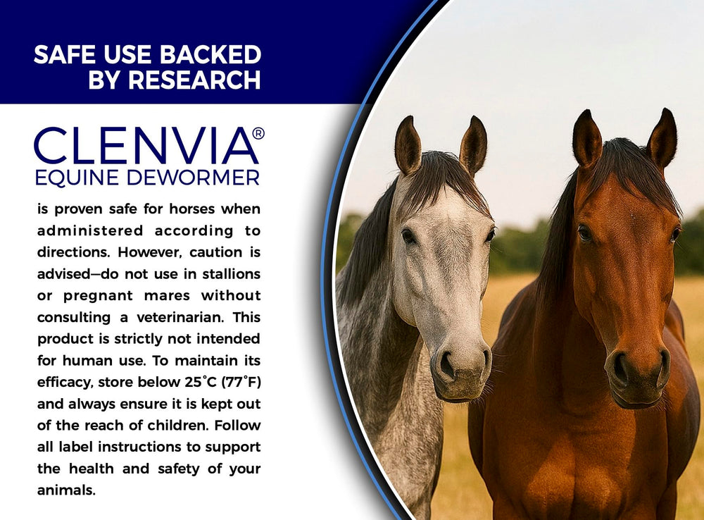 Stable scene with CLENVIA paste ready for convenient care