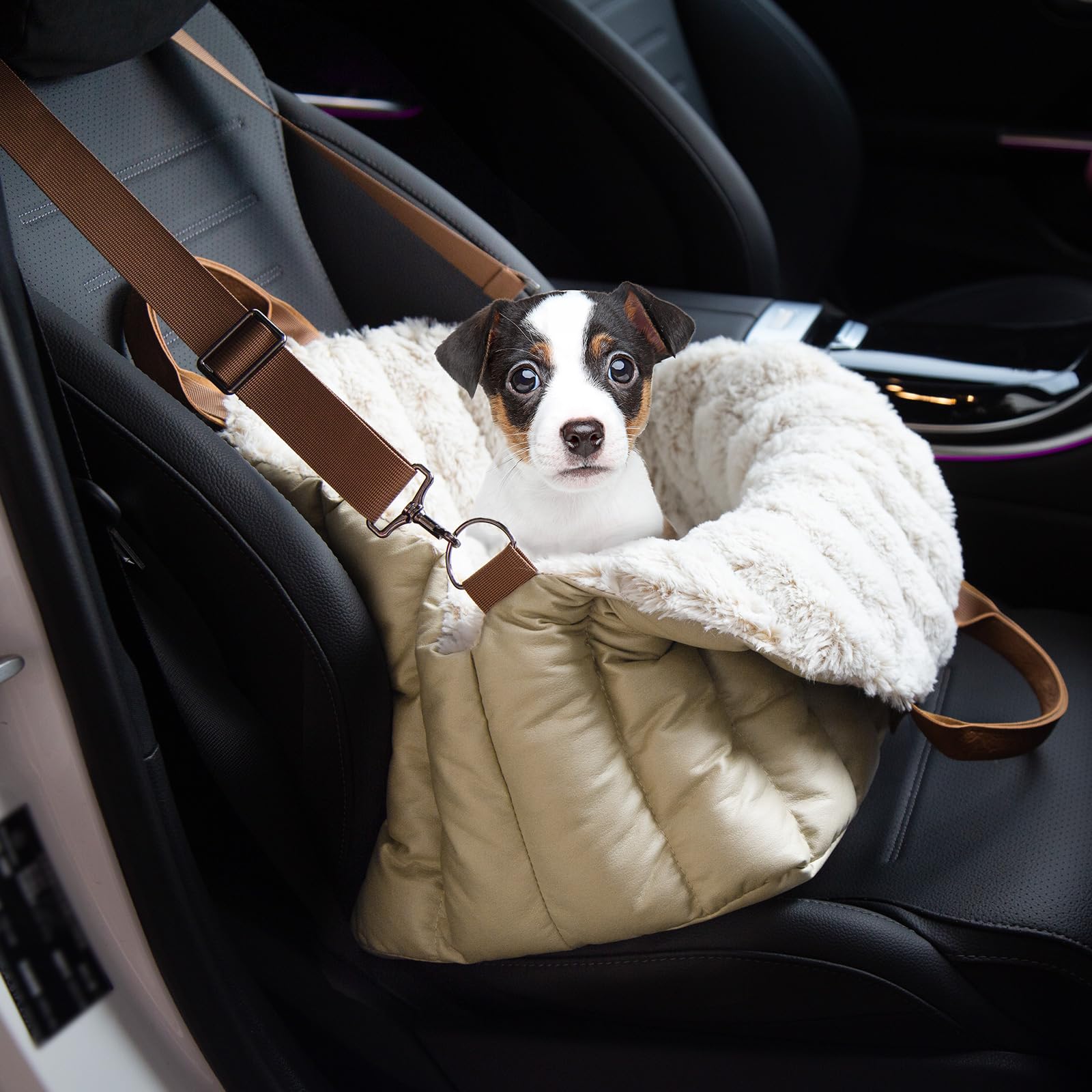 ClevaHome plush fleece interior highlighting warm, cozy comfort for small pets.