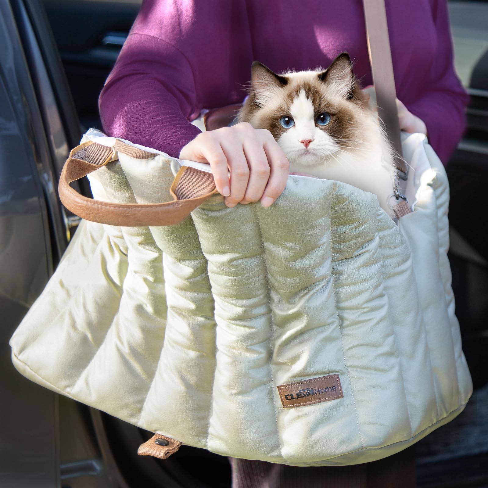 ClevaHome seat with removable mat and leash for easy cleaning