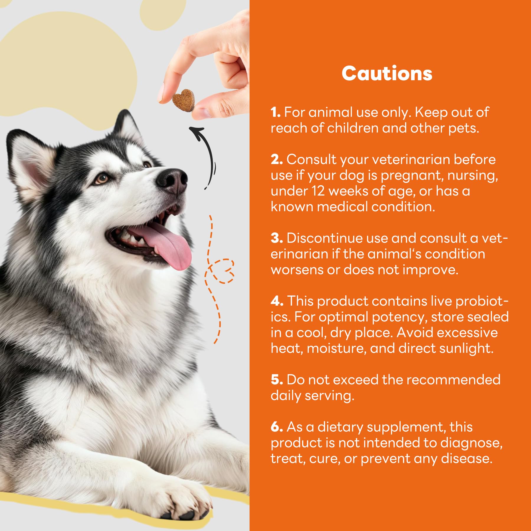 CleverasHealth dog relaxed after taking an allergy relief chew